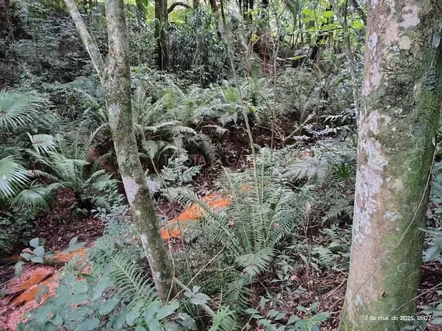 Terreno com 2m², à venda, no bairro Santa Felicidade em Curitiba