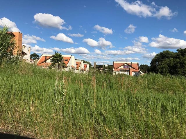Foto do Terreno - Boa Vista, Terreno ZR3, 60m de testada, 1.991,40m² de área total, ao lado da Av Holanda, à venda, Curitiba, PR | Imobiliária GreenVille