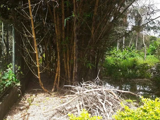 Terreno com 1040m², à venda, no bairro Centro em Lagoa Santa