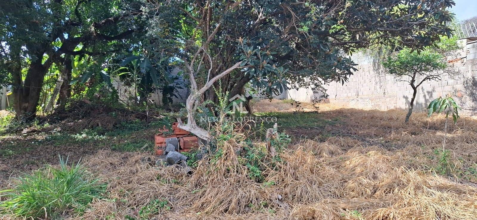 Terreno, 630 m² - Foto 4