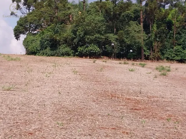 Terreno com 121000m², à venda, no bairro Gleba Arapongas em Arapongas