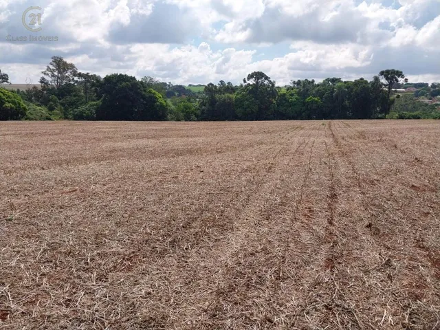 Terreno com 121000m², à venda, no bairro Gleba Arapongas em Arapongas