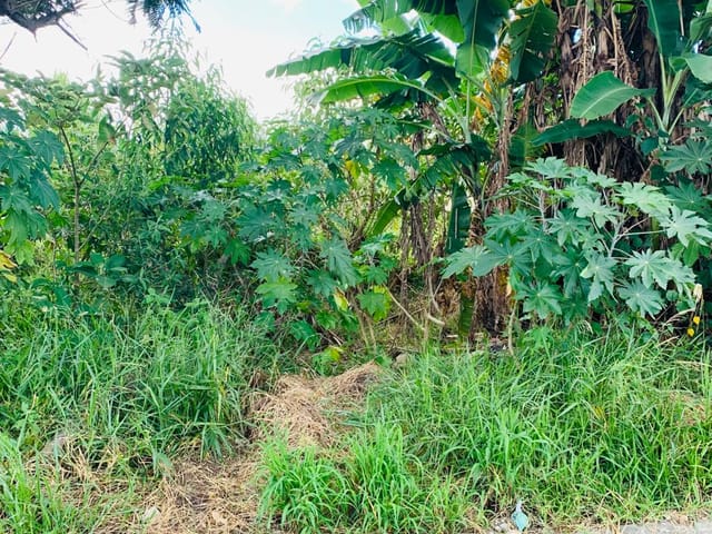 Terreno com 250m², à venda, no bairro Vitória Vale II em Pindamonhangaba