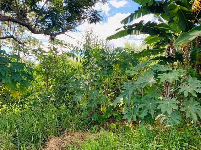 Terreno com 250m², à venda, no bairro Vitória Vale II em Pindamonhangaba