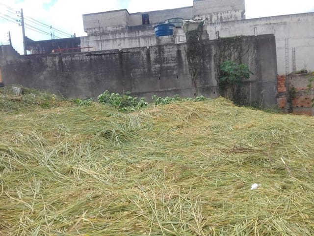 Terreno com 512m², à venda, no bairro Jardim Santa Cecilia em Guarulhos