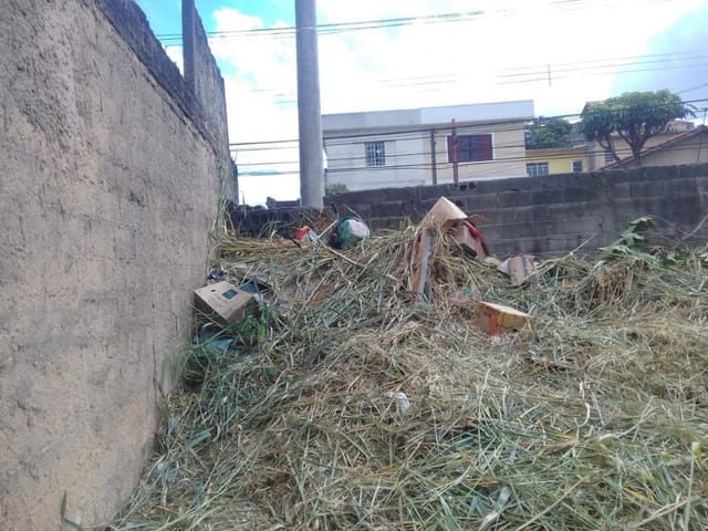 Terreno com 512m², à venda, no bairro Jardim Santa Cecilia em Guarulhos
