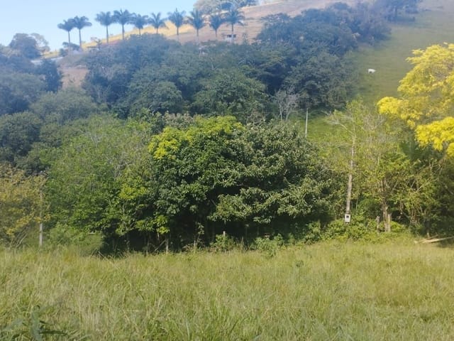 Terreno com 192000m², à venda, no bairro Rio do Peixe em Cambuí