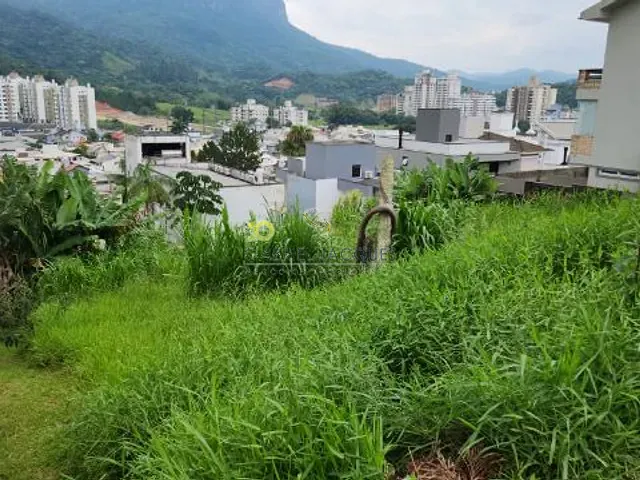Terreno com 360m², à venda, no bairro Pedra Branca em Palhoça