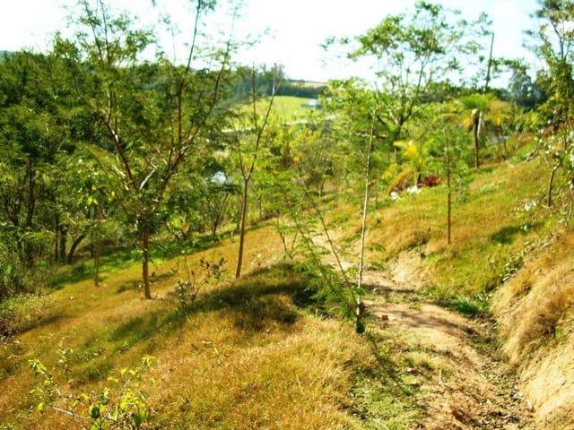Foto do Terreno - Terreno residencial à venda, Canaã, Jambeiro. | INDEPENDENCE NEGOCIOS IMOBILIARIOS LTDA