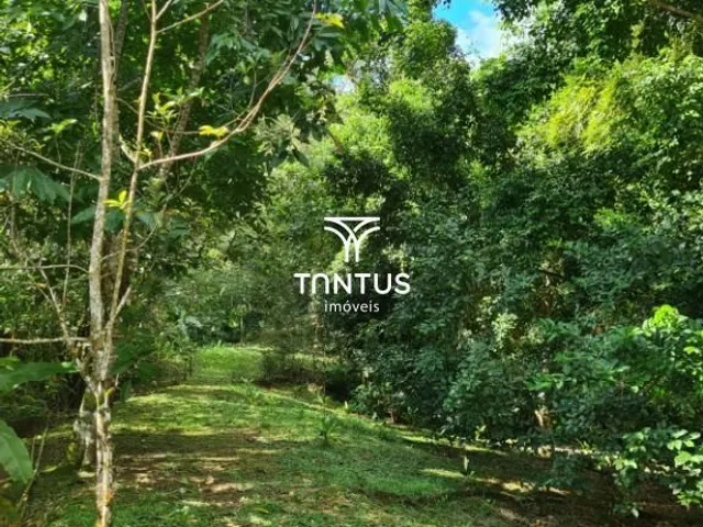 Terreno à venda, no bairro Barreiros em Morretes