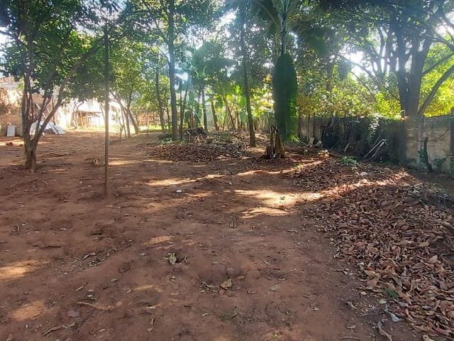 Terreno com 2000m², à venda, no bairro Trevo em Belo Horizonte
