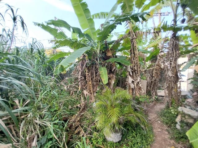 Terreno com 308m², para alugar, no bairro Glória em Macaé