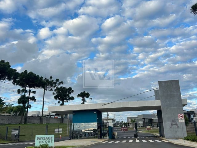 Terreno com 293m², à venda, no bairro Cará-cará em Ponta Grossa
