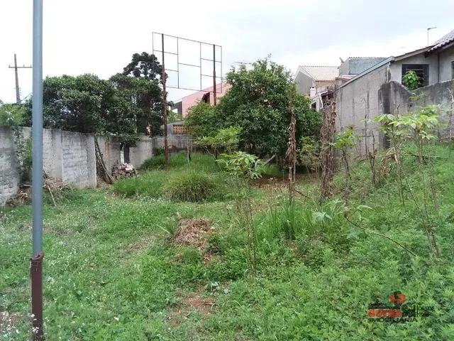 Terreno para alugar, no bairro Capão Raso em Curitiba