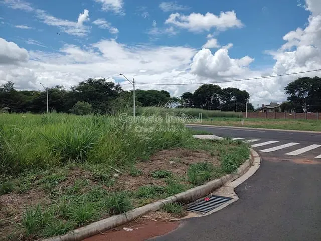 Terreno com 336m², à venda, no bairro Europa em Holambra