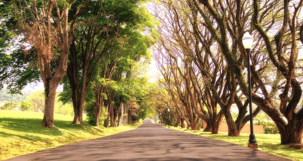 Terreno, 800 m² - Foto 1