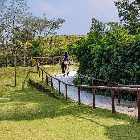 Terreno, 800 m² - Foto 12