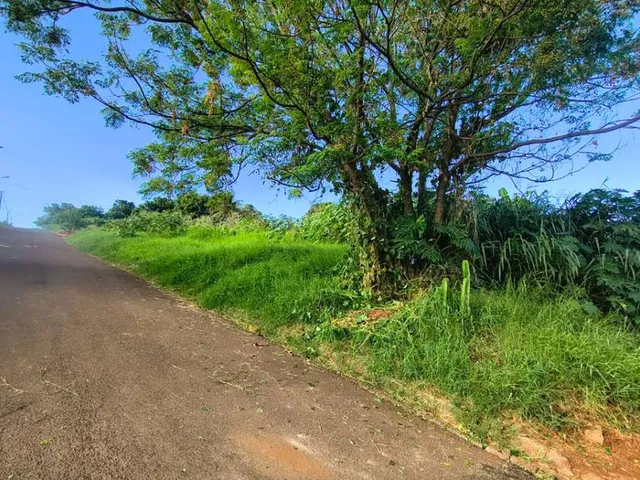 Terreno com 6000m², à venda, no bairro Parque Presidente Vargas em Londrina