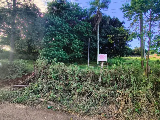 Terreno com 6000m², à venda, no bairro Parque Presidente Vargas em Londrina