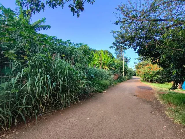 Terreno com 6000m², à venda, no bairro Parque Presidente Vargas em Londrina