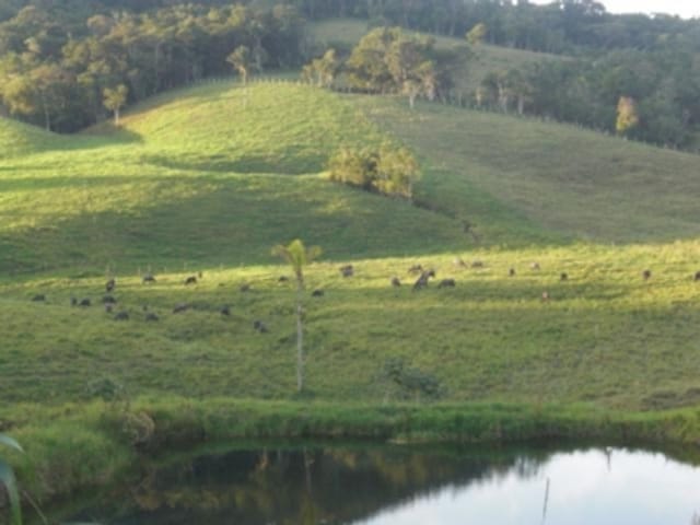 Foto do Terreno - Residencial - Parque Santa Rosa | Zequinha Imóveis
