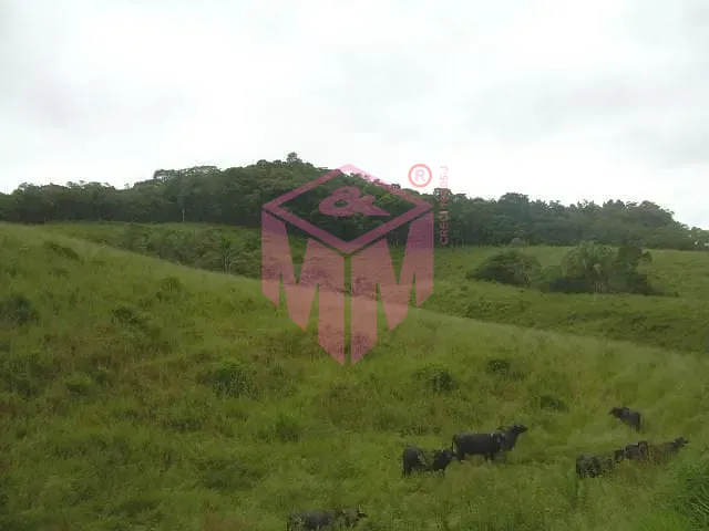 Terreno, 19 hectares - Foto 8