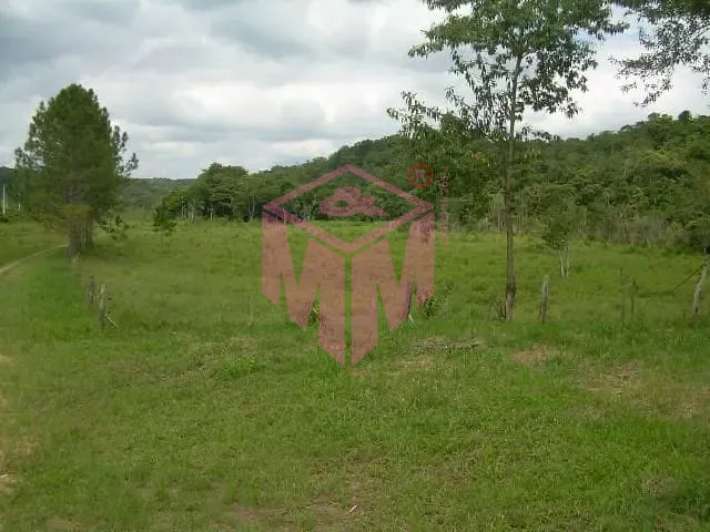 Terreno, 19 hectares - Foto 9