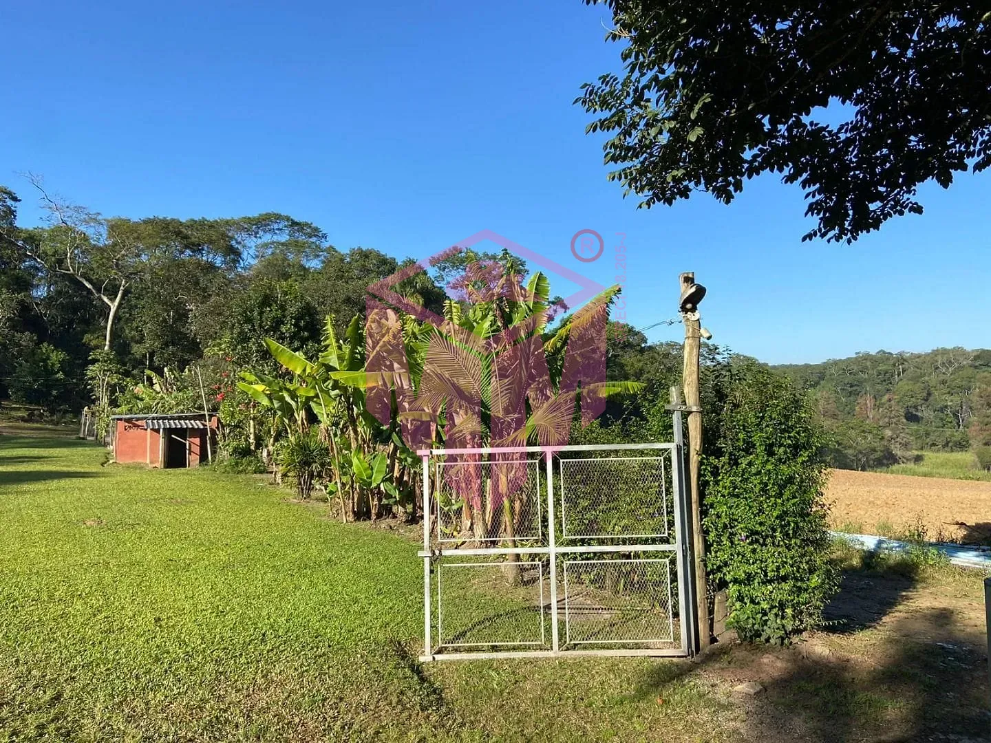 Terreno, 19 hectares - Foto 17