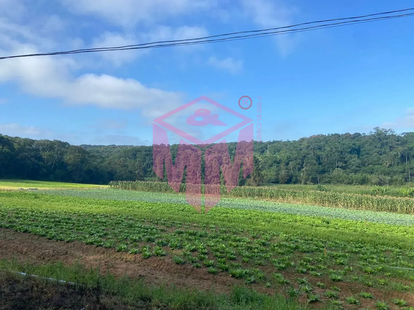 Terreno, 19 hectares - Foto 13