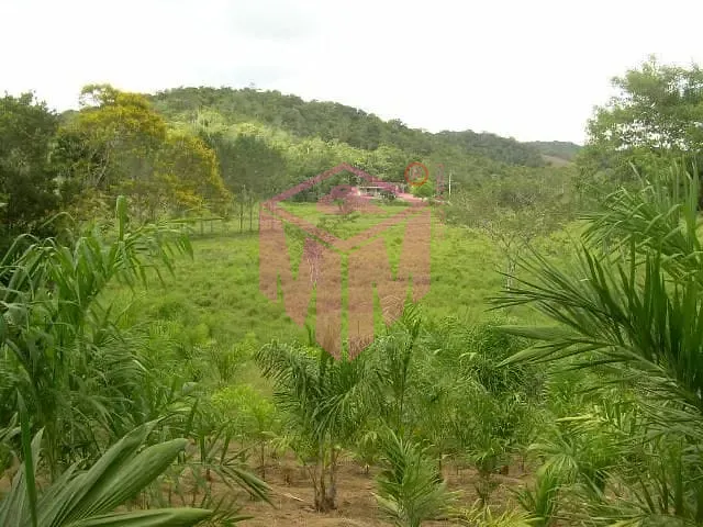 Terreno, 19 hectares - Foto 10
