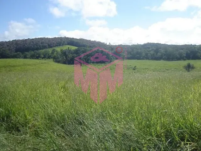 Terreno, 19 hectares - Foto 4