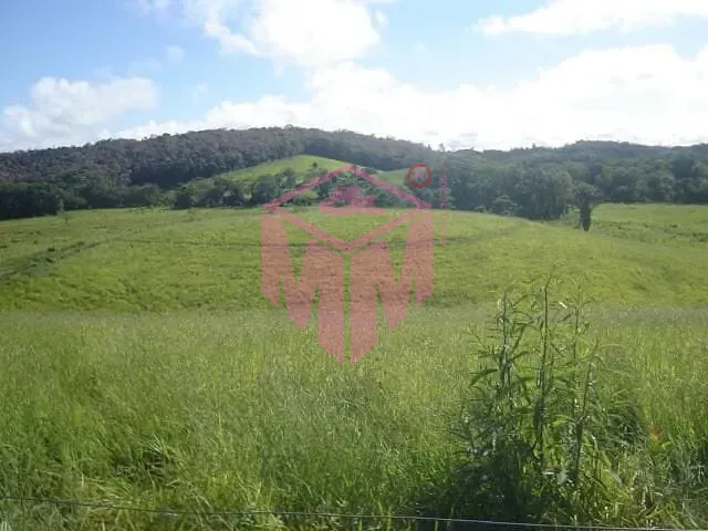 Terreno, 19 hectares - Foto 5