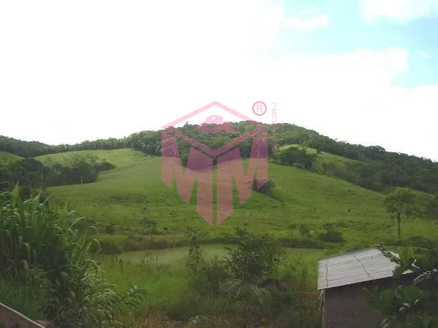 Terreno, 19 hectares - Foto 7