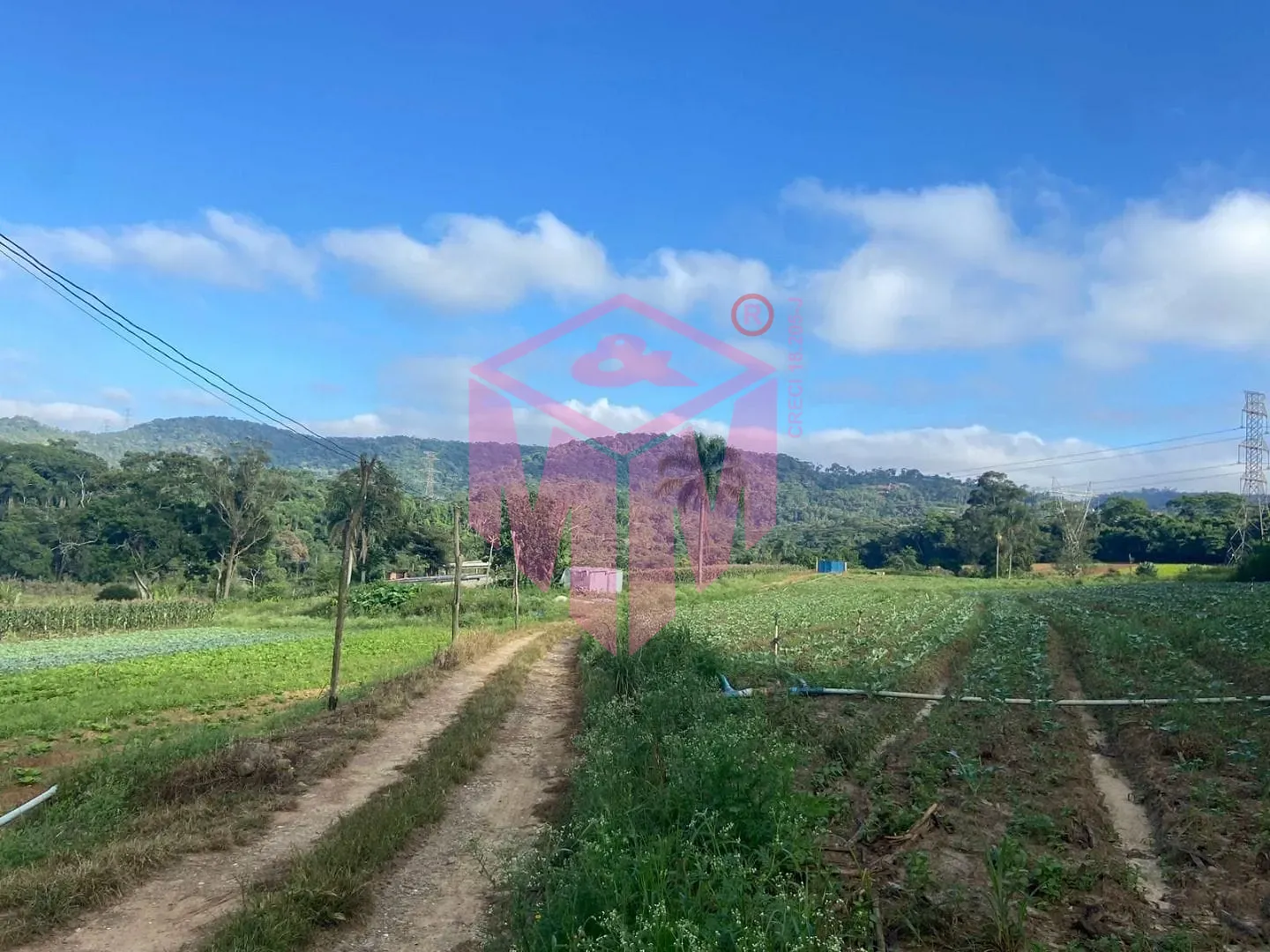 Terreno, 19 hectares - Foto 12