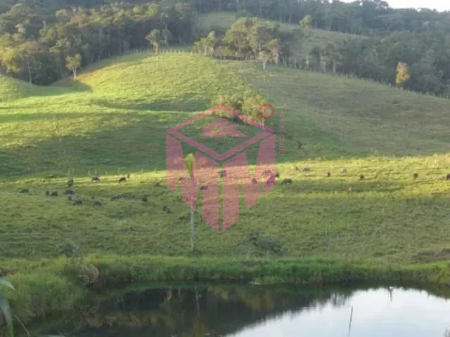 Terreno, 19 hectares - Foto 6