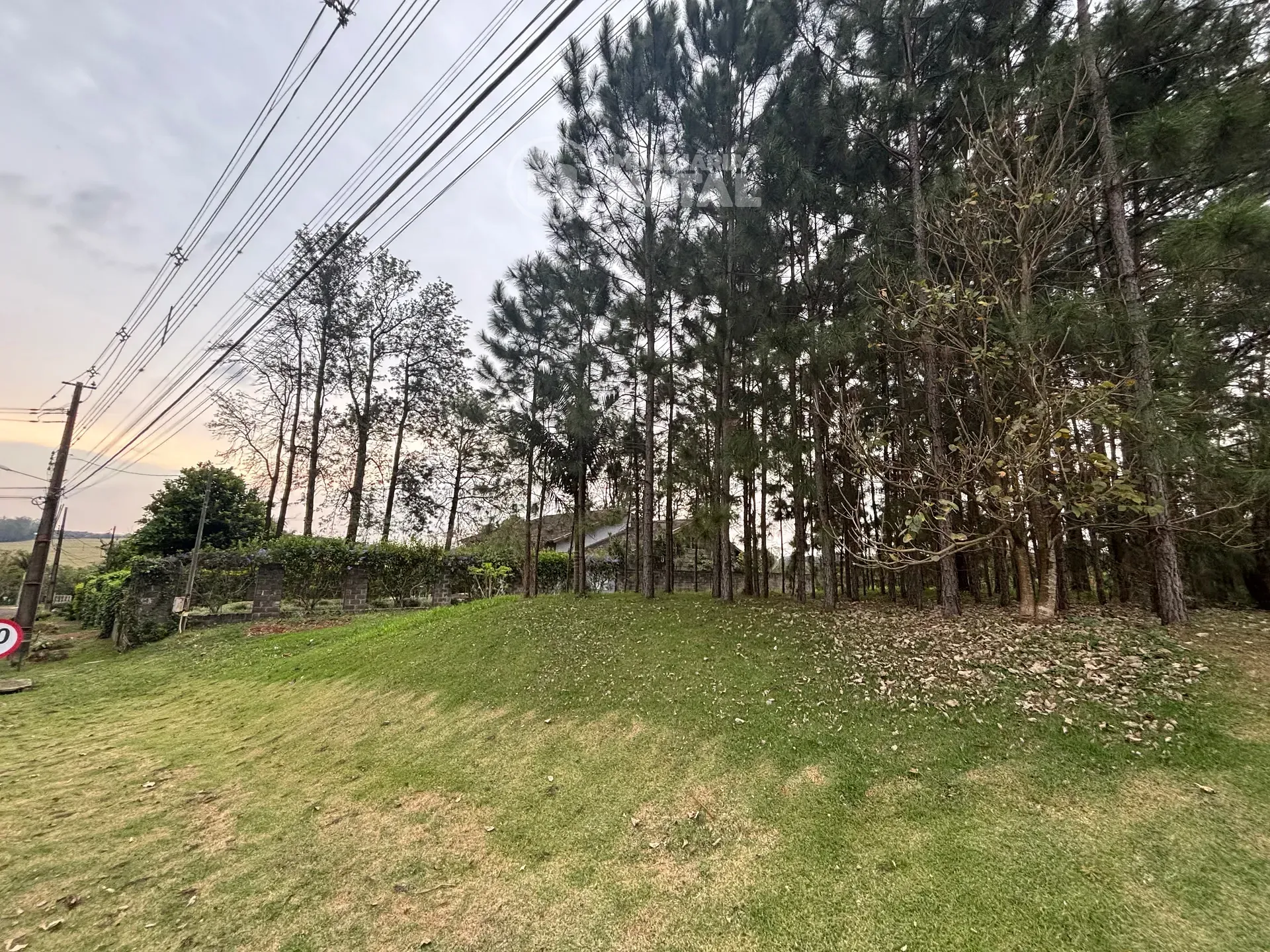 Terreno, 1650 m² - Foto 2