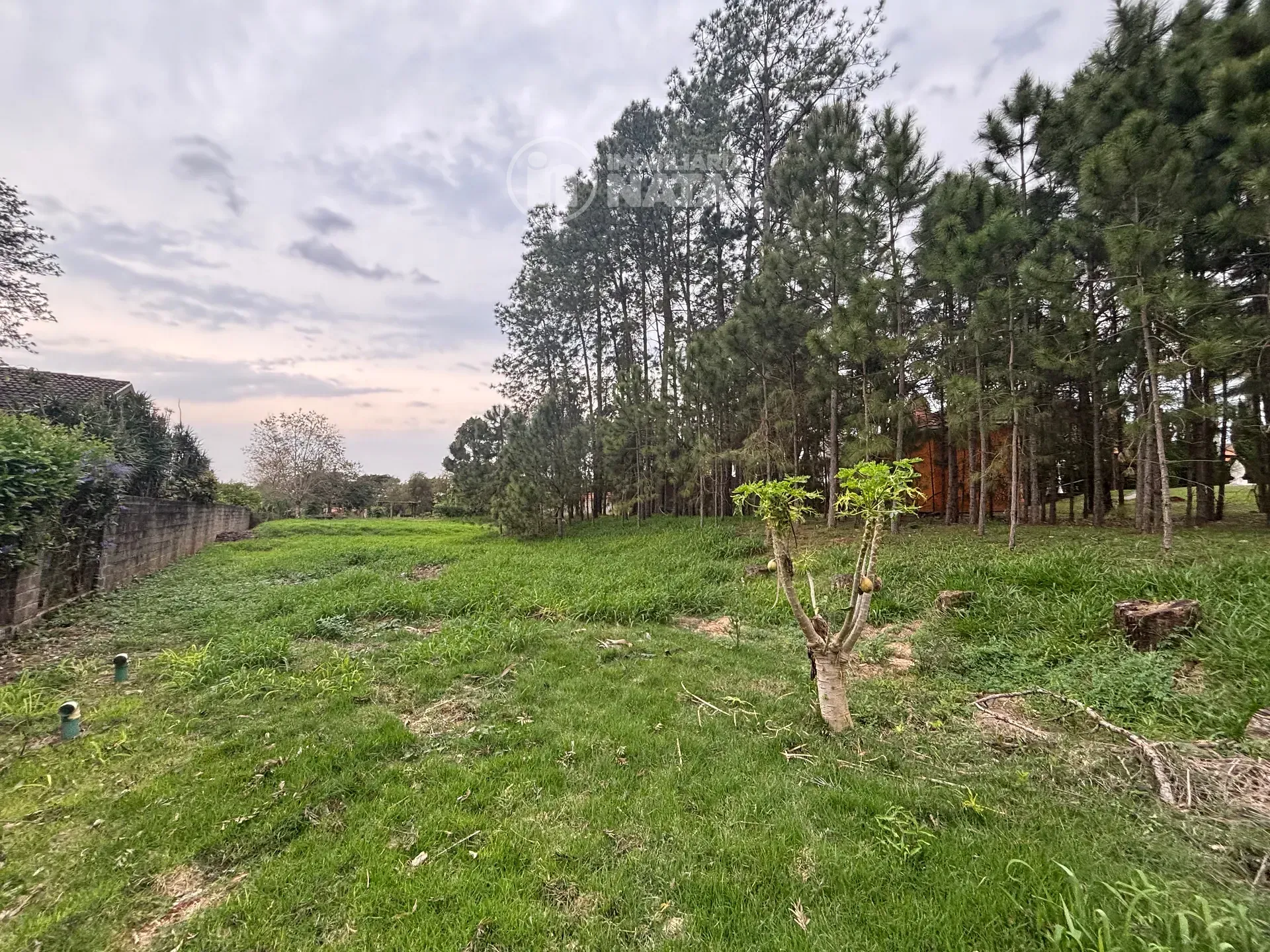 Terreno, 1650 m² - Foto 3