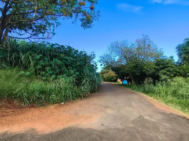 Terreno com 3000m², à venda, no bairro Parque Presidente Vargas em Londrina