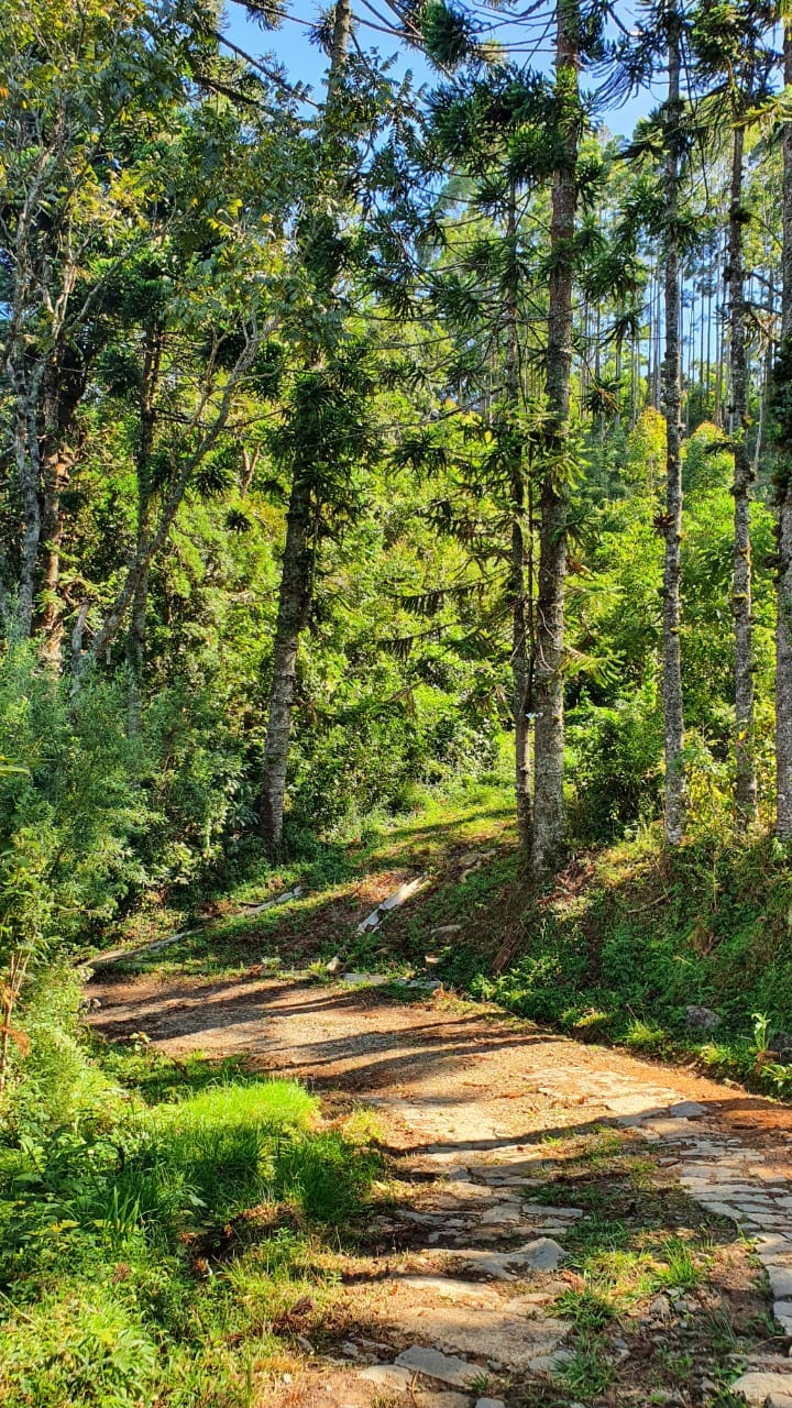 Terreno, 404 hectares - Foto 12