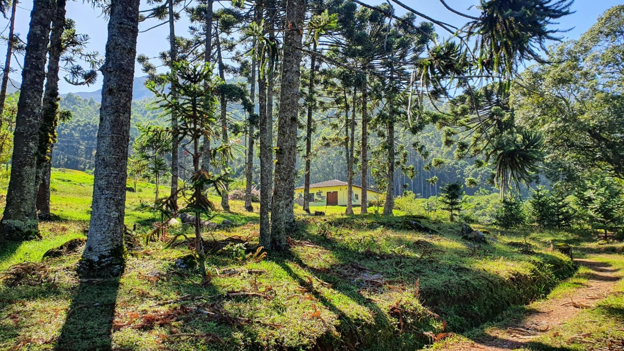 Terreno, 404 hectares - Foto 16