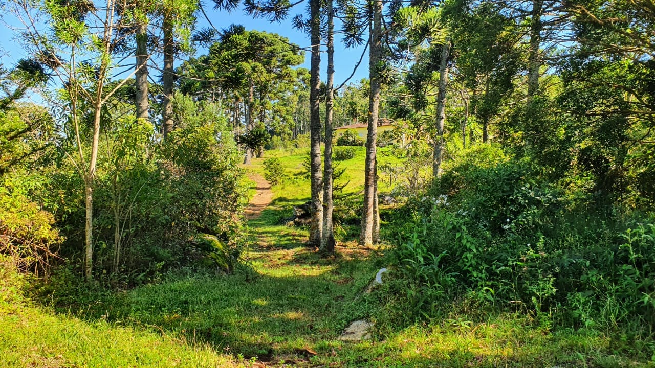 Terreno, 404 hectares - Foto 19