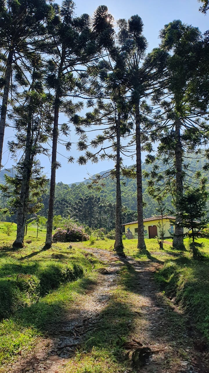 Terreno, 404 hectares - Foto 17