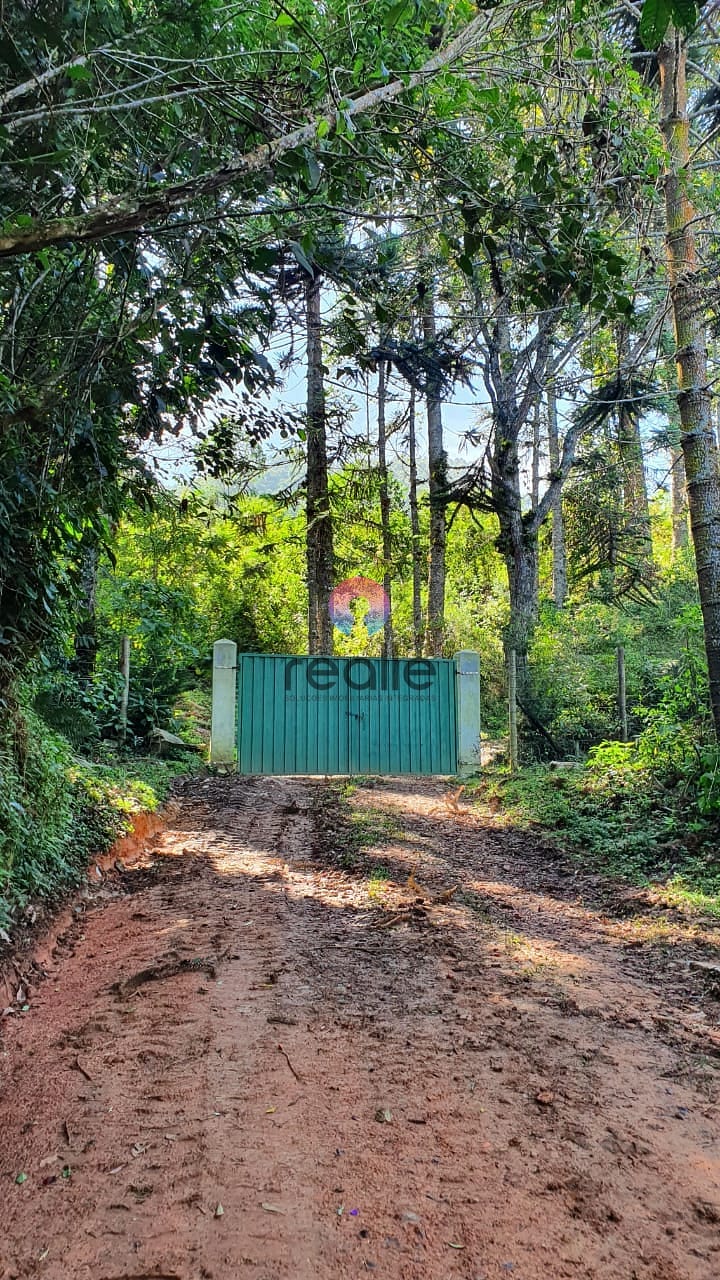 Terreno, 404 hectares - Foto 10