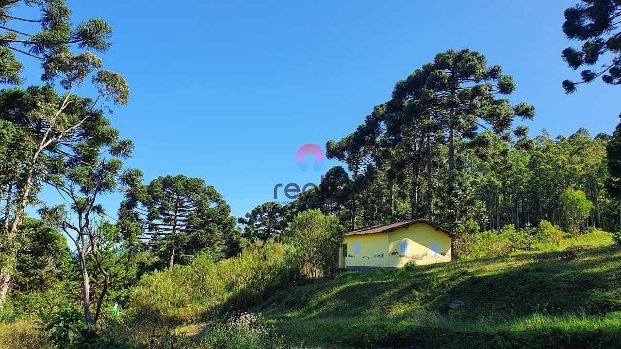 Terreno, 404 hectares - Foto 7