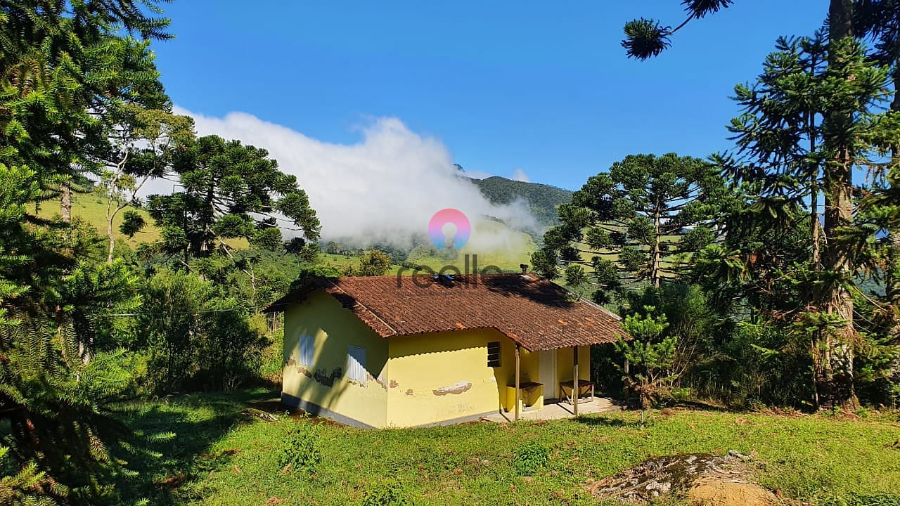 Terreno, 404 hectares - Foto 2