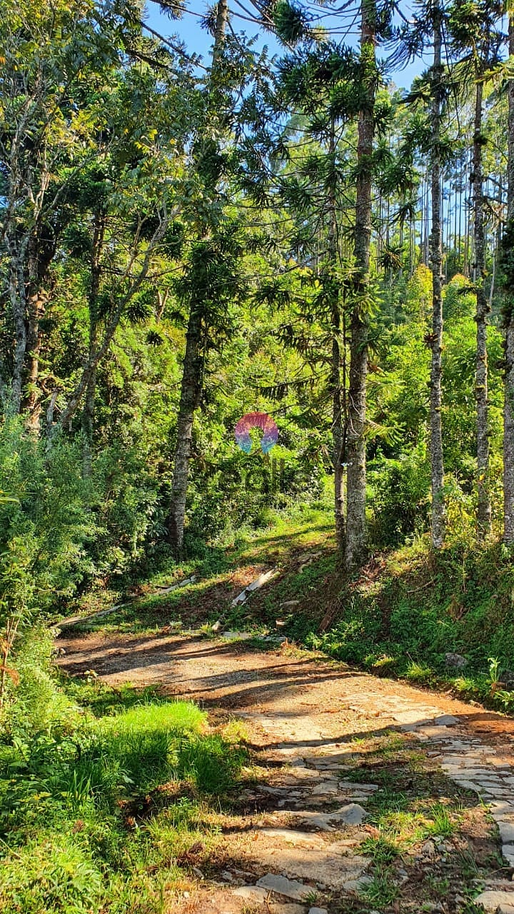 Terreno, 404 hectares - Foto 12