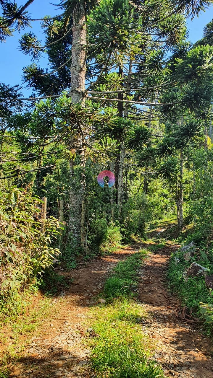 Terreno, 404 hectares - Foto 13