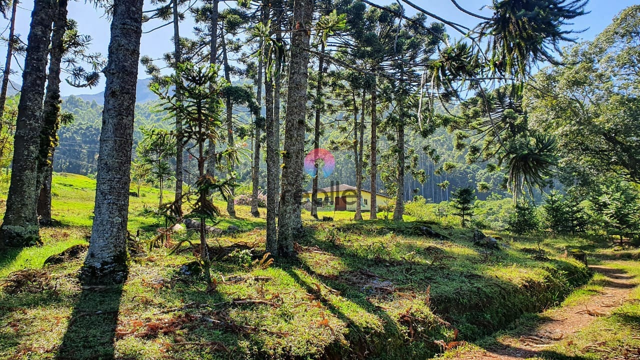 Terreno, 404 hectares - Foto 16