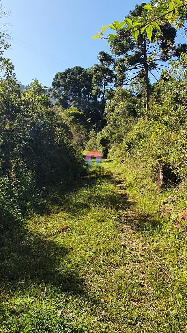 Terreno, 404 hectares - Foto 18