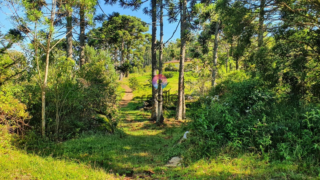 Terreno, 404 hectares - Foto 19